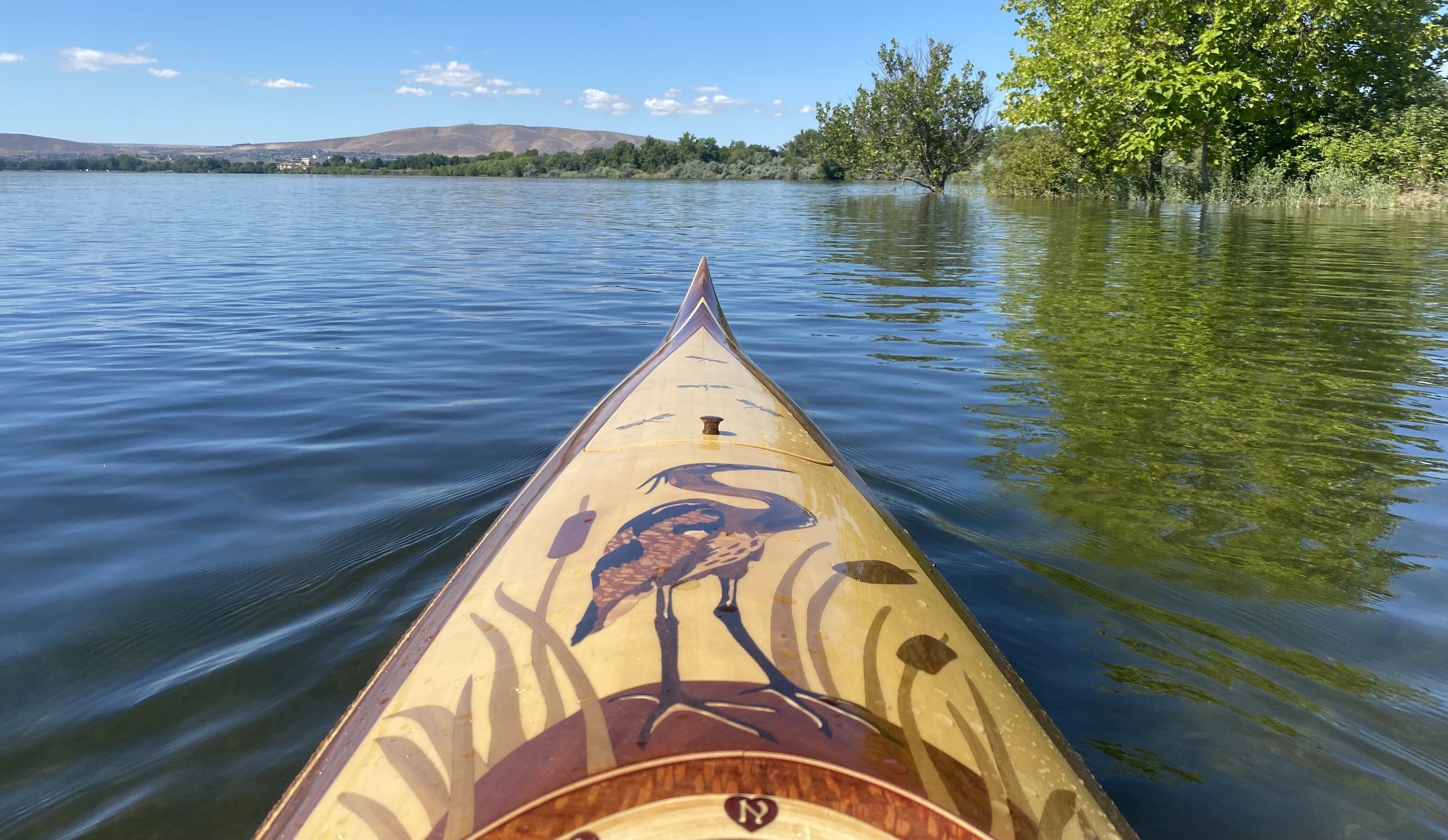 Columbia River Wildlife I — KAYAKS BY DAVE LAKE